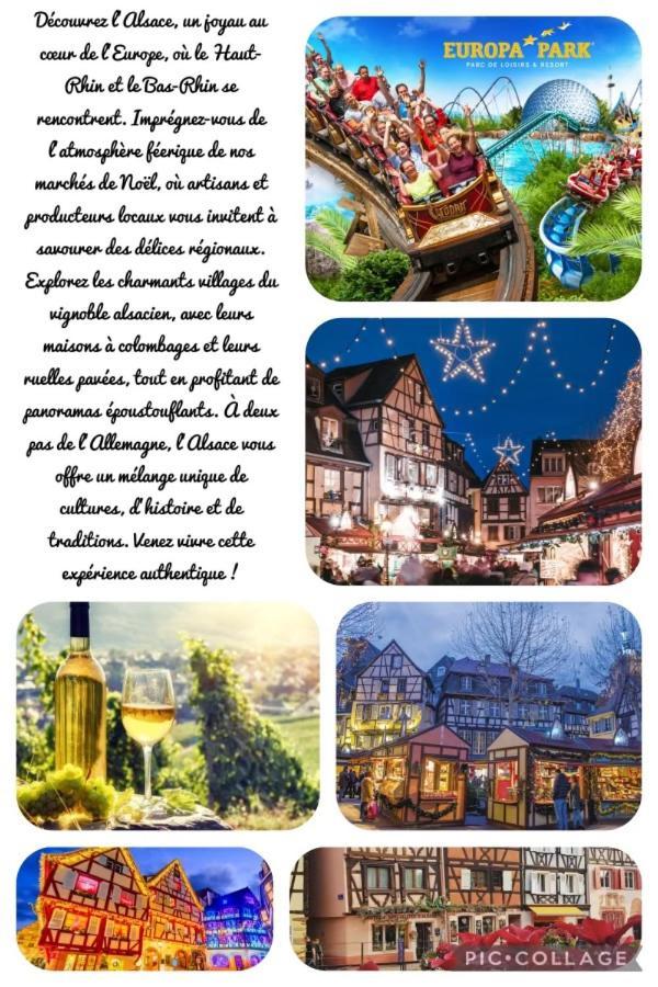Chez Ana 호텔 Ohnenheim 외부 사진